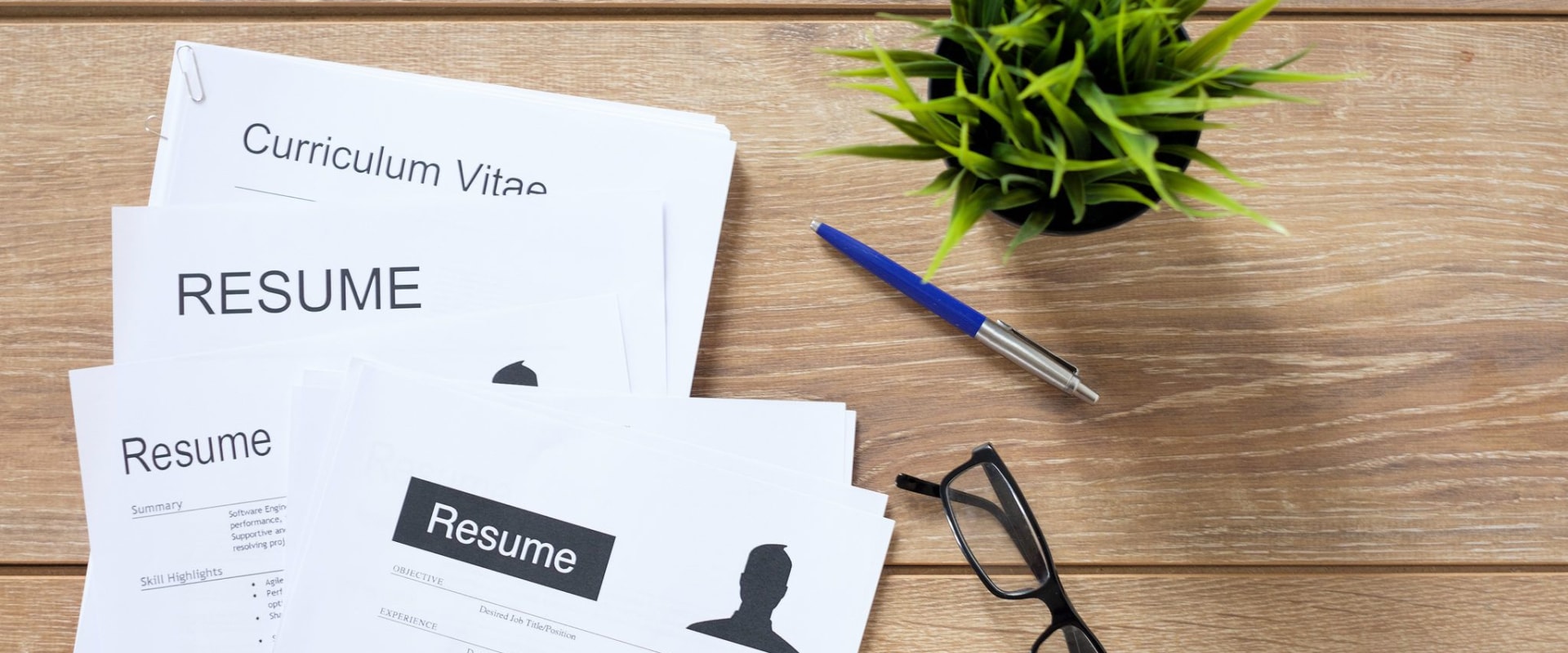 5 CV Tips For Graduates With No Experience - University Tutors